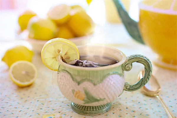苗を撫でるだけで茎が太くなる？30秒の習慣で徒長を防ぐ方法