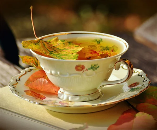 小さい庭こそ大鉢を大胆に！狭いスペースを広く見せる5つのコツ